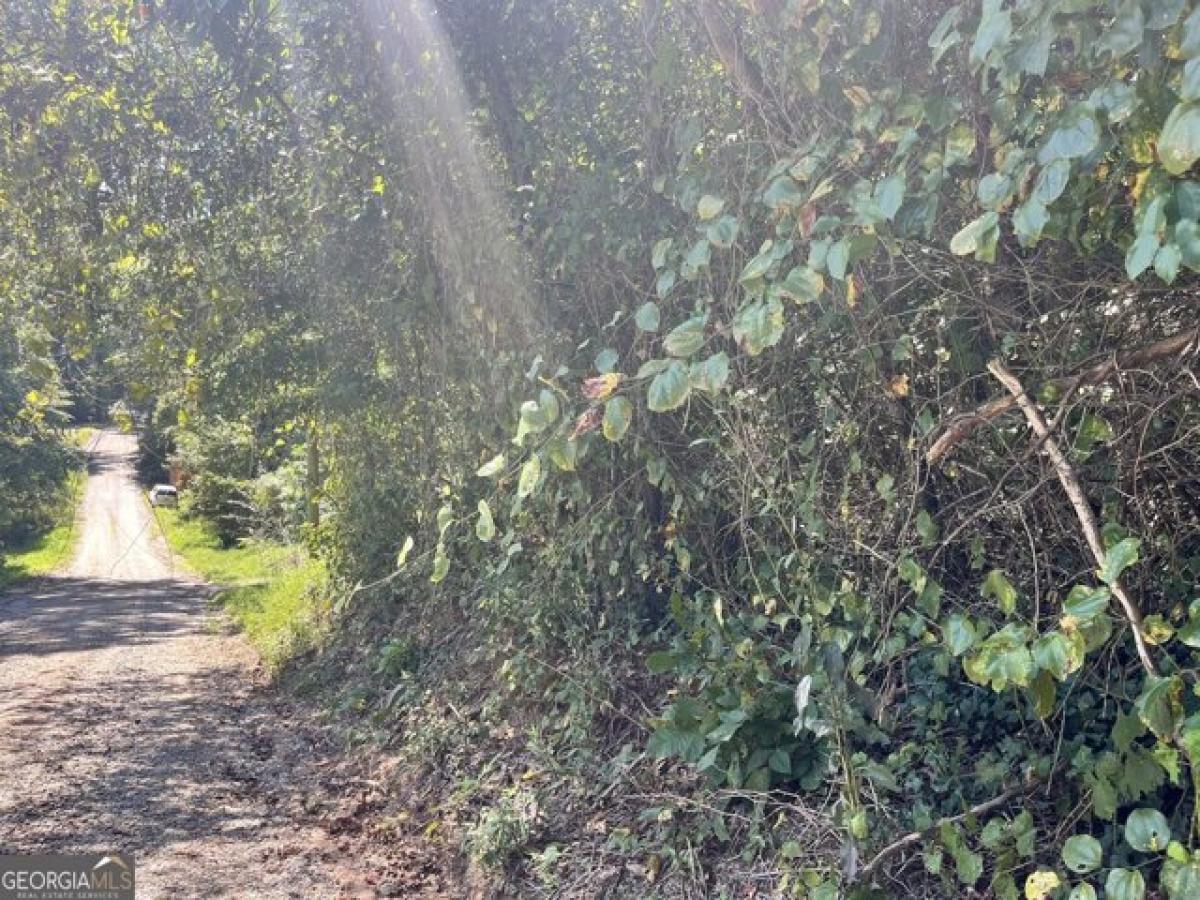 Picture of Residential Land For Sale in Cornelia, Georgia, United States