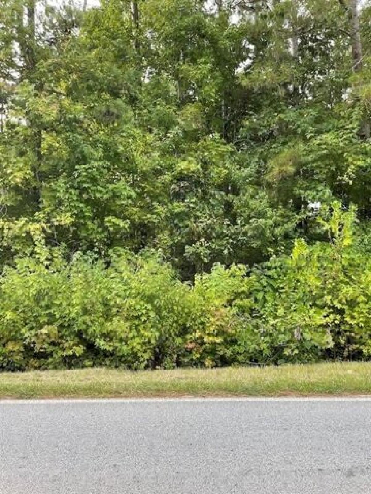 Picture of Residential Land For Sale in Bremen, Georgia, United States