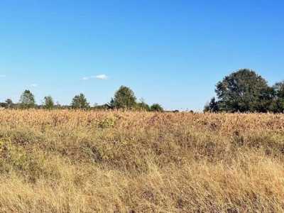 Residential Land For Sale in Florence, Alabama
