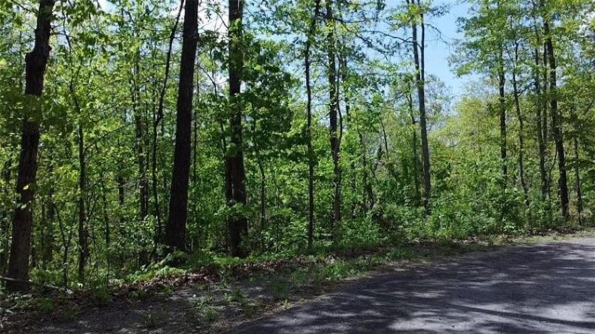 Picture of Residential Land For Rent in Bella Vista, Arkansas, United States