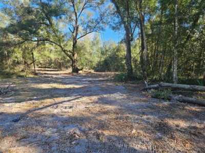 Residential Land For Sale in Citra, Florida