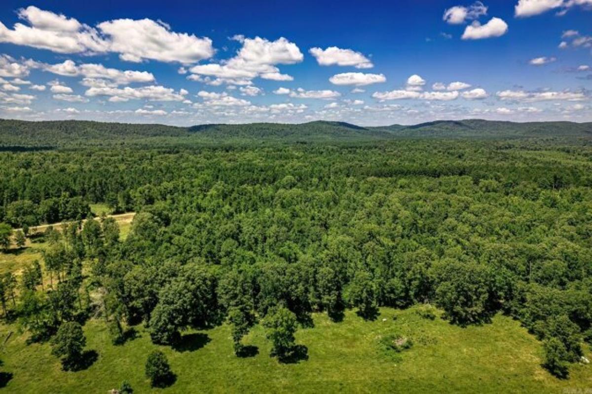 Picture of Residential Land For Sale in Bismarck, Arkansas, United States