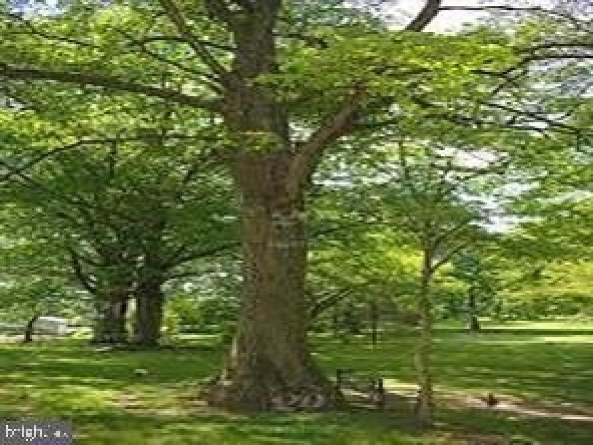 Picture of Residential Land For Rent in New Tripoli, Pennsylvania, United States