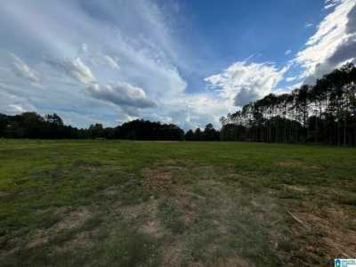 Residential Land For Sale in Ashville, Alabama
