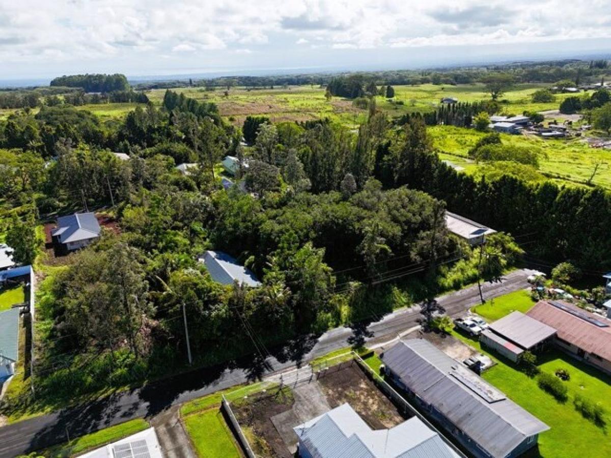 Picture of Residential Land For Sale in Mountain View, Hawaii, United States