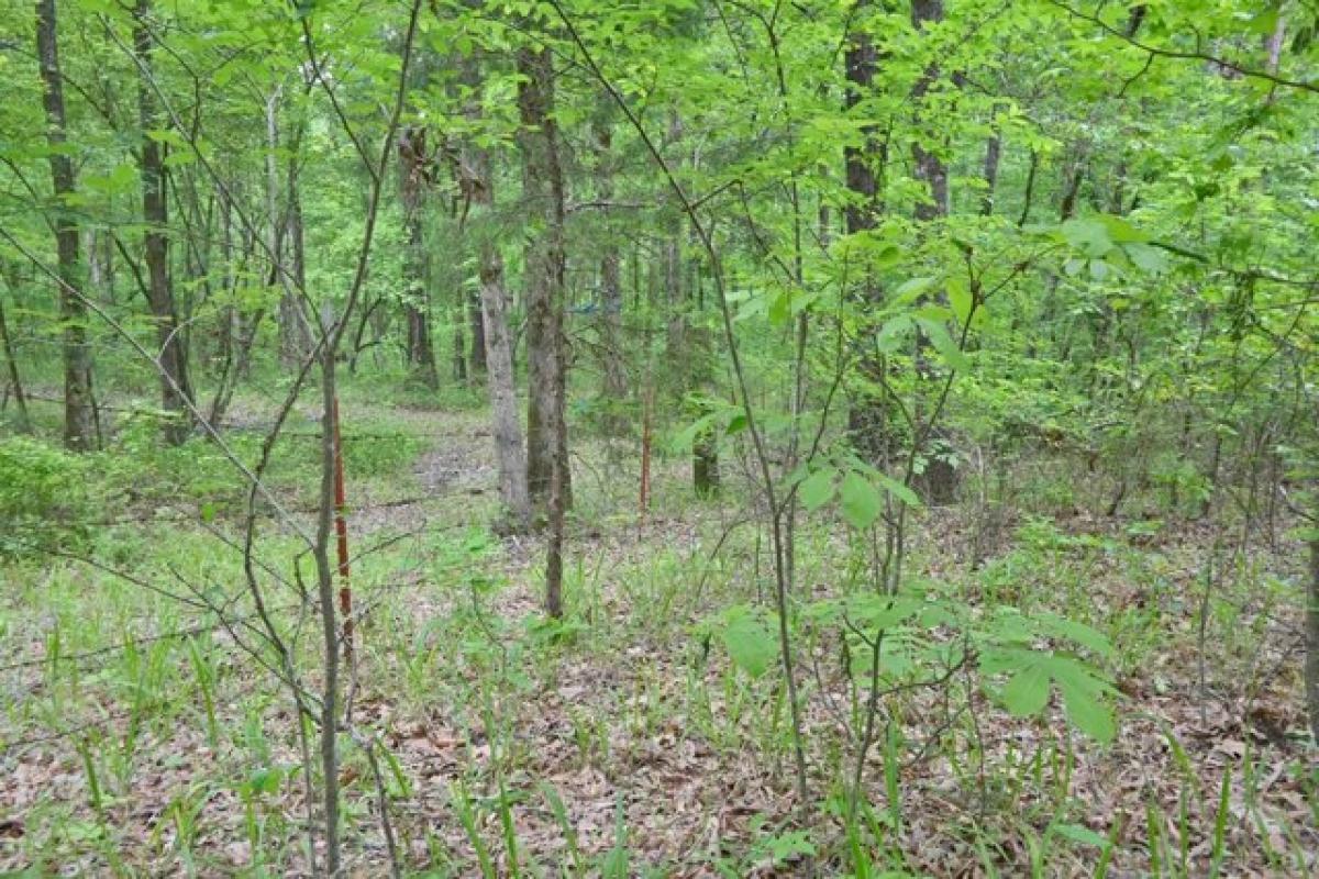 Picture of Residential Land For Sale in Mayflower, Arkansas, United States