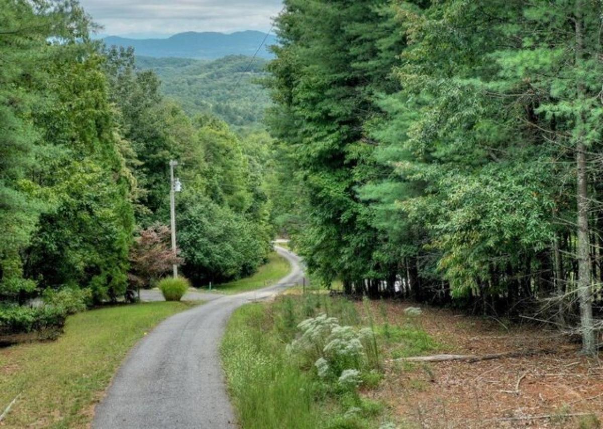 Picture of Residential Land For Sale in Morganton, Georgia, United States