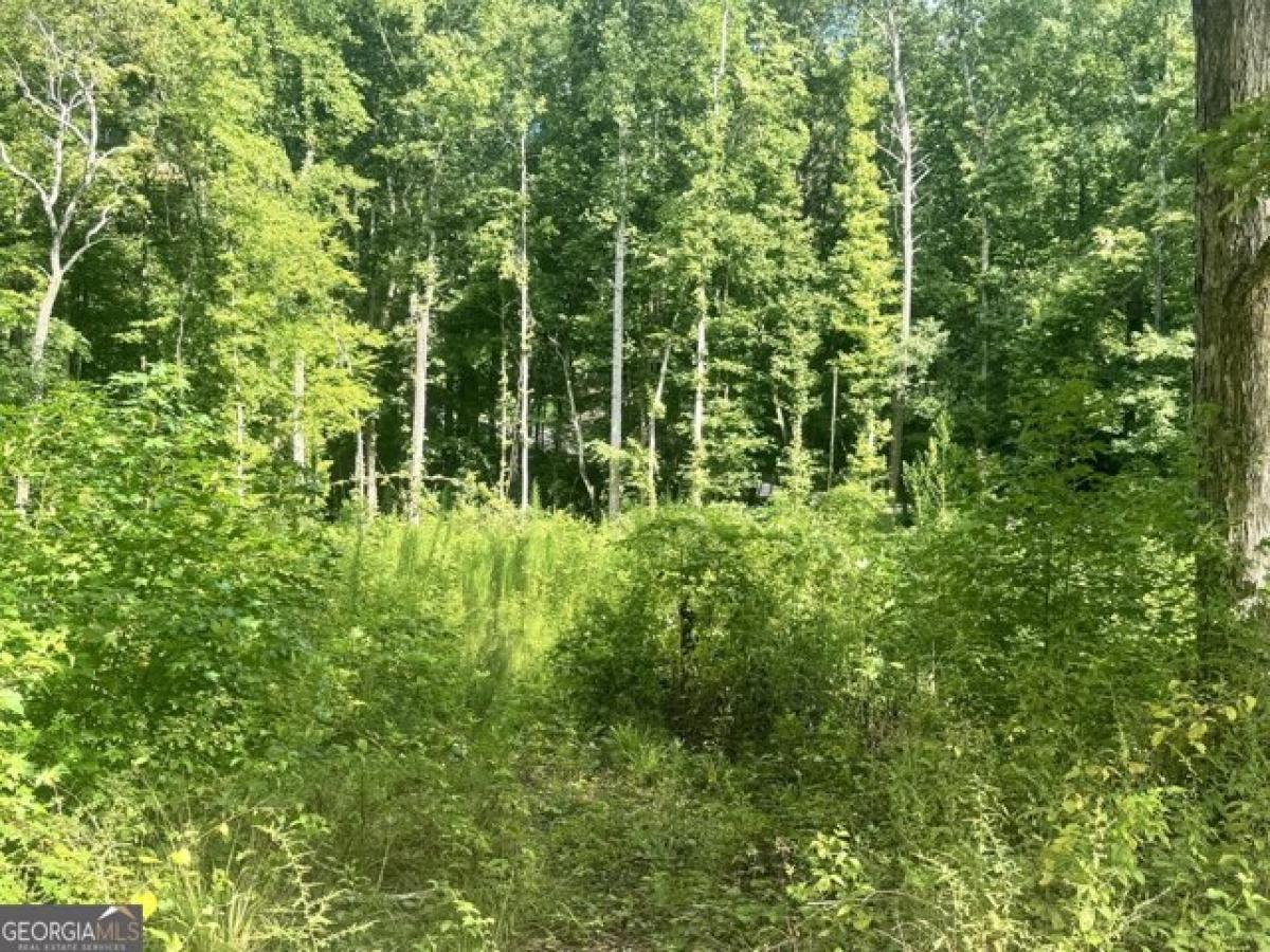 Picture of Residential Land For Sale in Sharpsburg, Georgia, United States