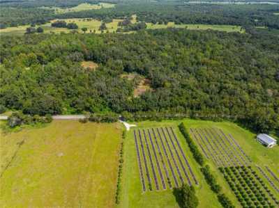 Residential Land For Sale in Brooksville, Florida