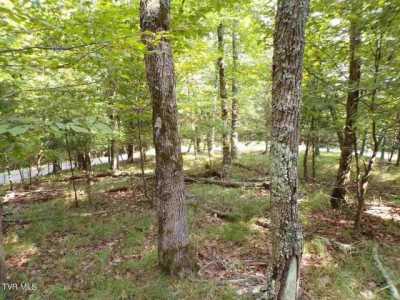 Residential Land For Sale in Mooresburg, Tennessee