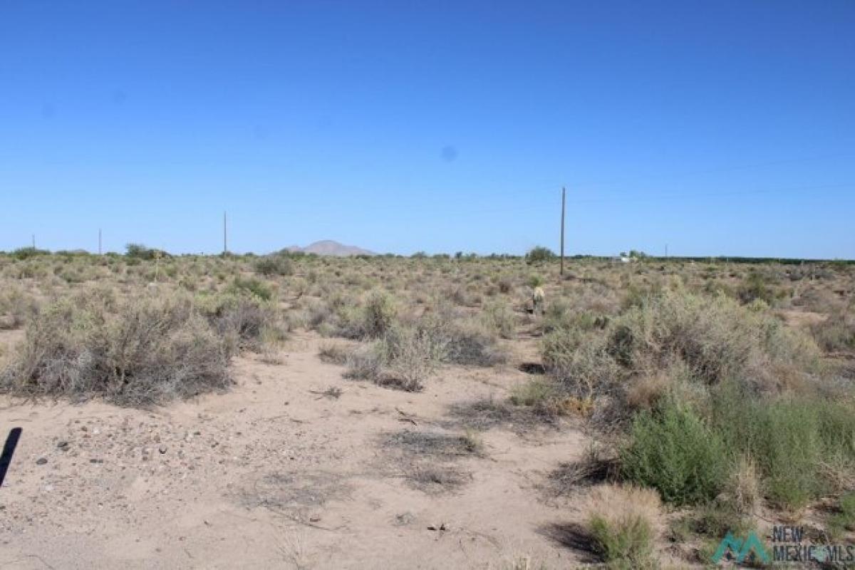 Picture of Residential Land For Rent in Deming, New Mexico, United States