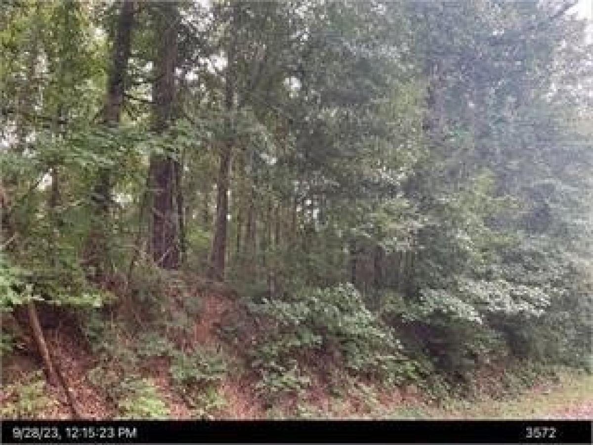 Picture of Residential Land For Rent in Ivey, Georgia, United States