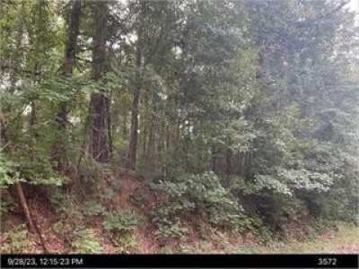 Residential Land For Rent in Ivey, Georgia