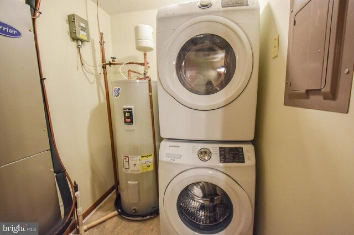 Picture of Apartment For Rent in California, Maryland, United States