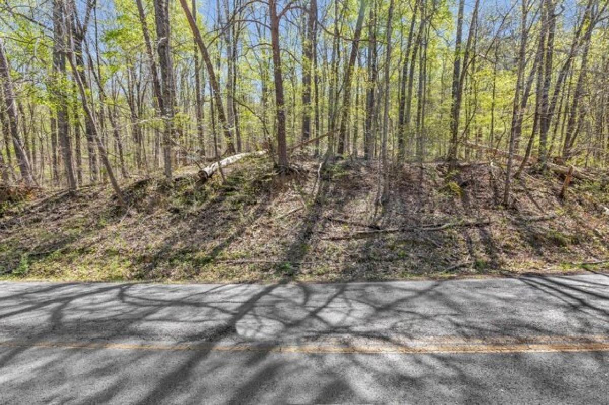 Picture of Residential Land For Sale in Whitwell, Tennessee, United States