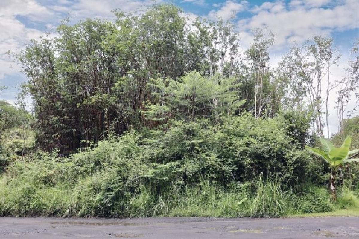 Picture of Residential Land For Sale in Mountain View, Hawaii, United States