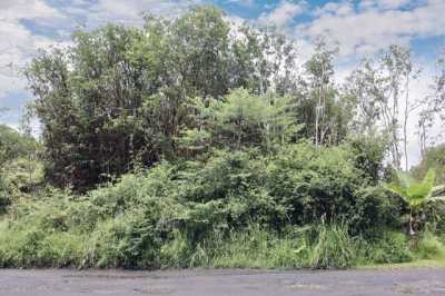 Residential Land For Sale in 