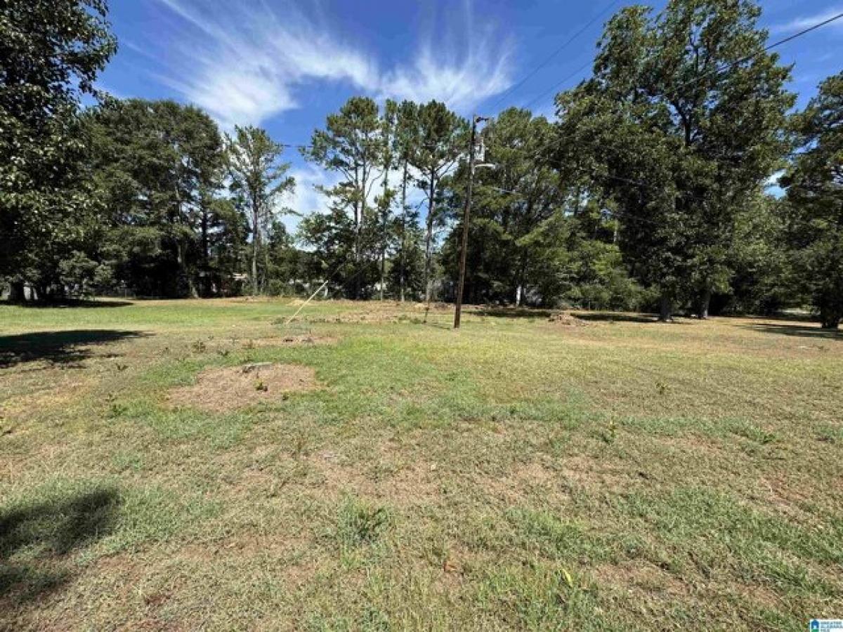 Picture of Residential Land For Sale in Anniston, Alabama, United States
