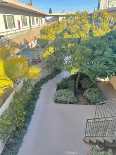 Apartment For Rent in Torrance, California
