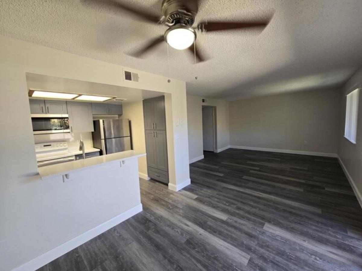 Picture of Home For Rent in Coral Springs, Florida, United States