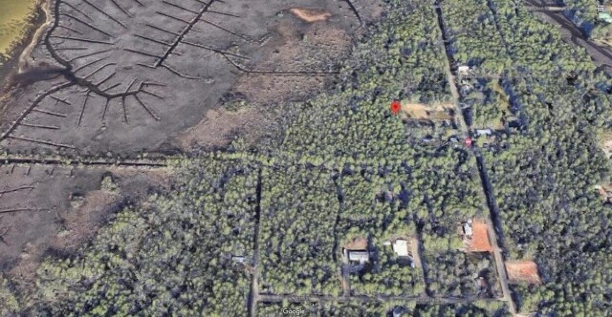Picture of Residential Land For Sale in Santa Rosa Beach, Florida, United States