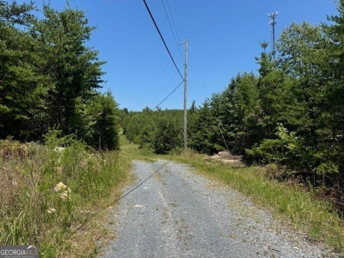 Picture of Residential Land For Sale in Rydal, Georgia, United States