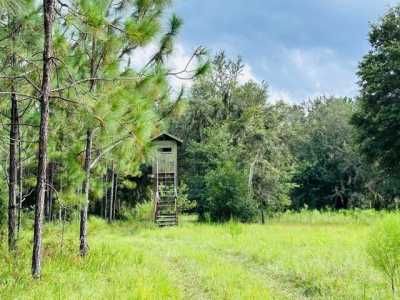 Residential Land For Rent in Trenton, Florida