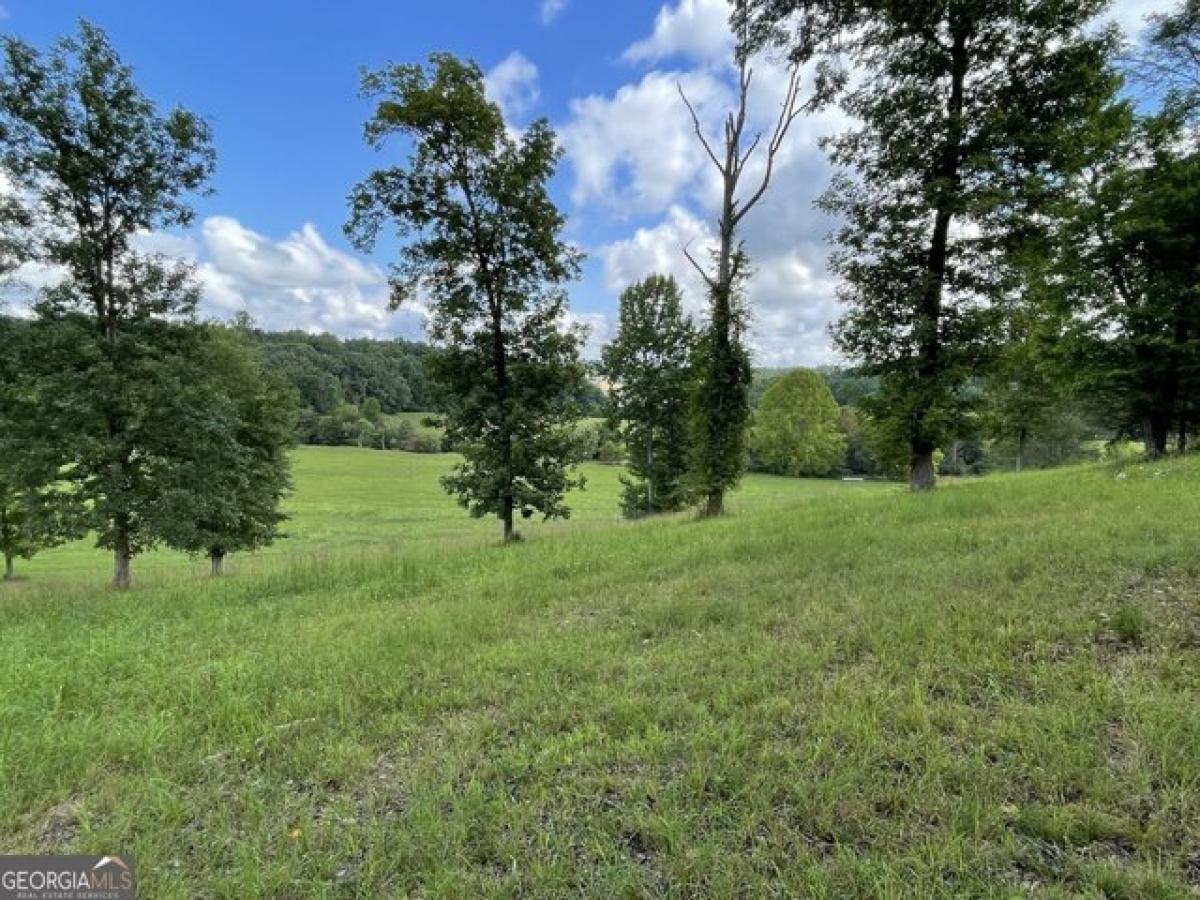 Picture of Residential Land For Sale in Blairsville, Georgia, United States