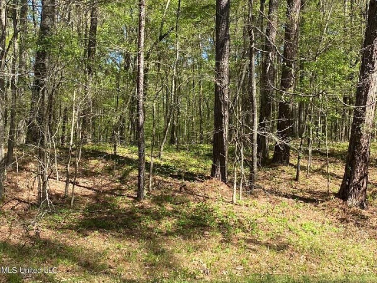Picture of Residential Land For Sale in Edwards, Mississippi, United States