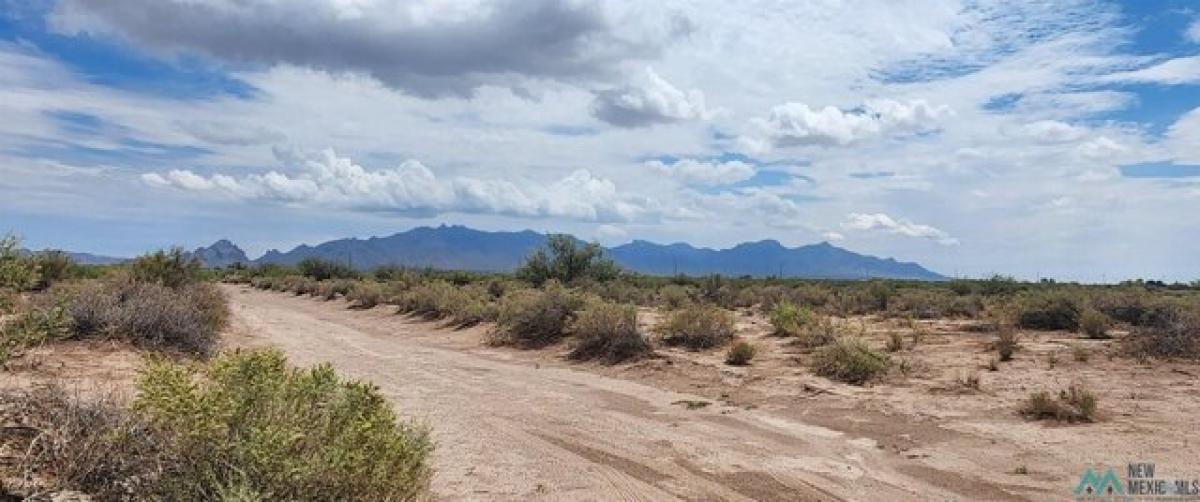 Picture of Residential Land For Rent in Deming, New Mexico, United States