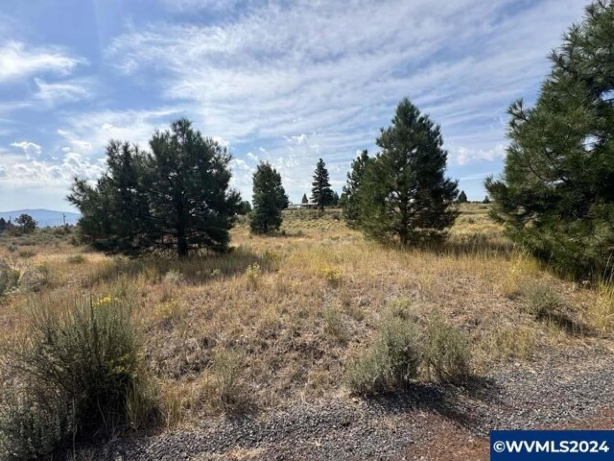 Picture of Residential Land For Rent in Chiloquin, Oregon, United States