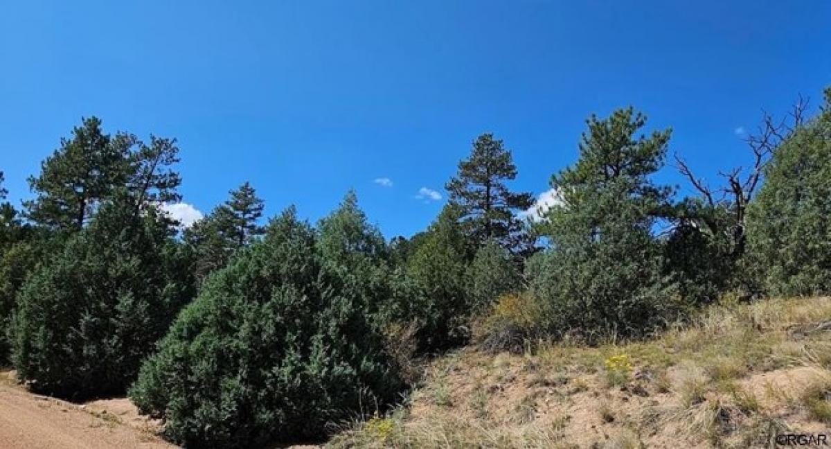 Picture of Residential Land For Sale in Cotopaxi, Colorado, United States