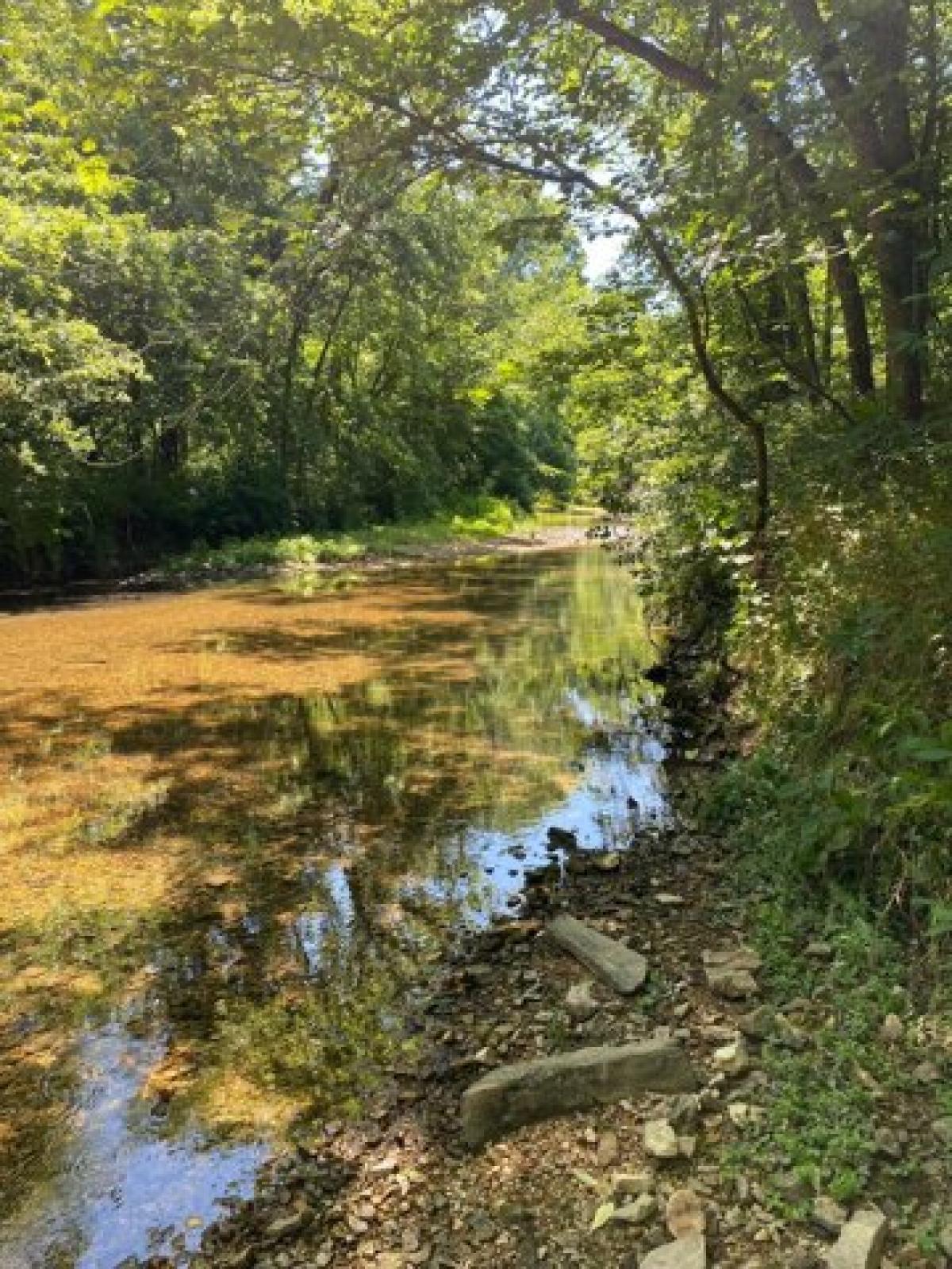 Picture of Residential Land For Sale in Springfield, Missouri, United States