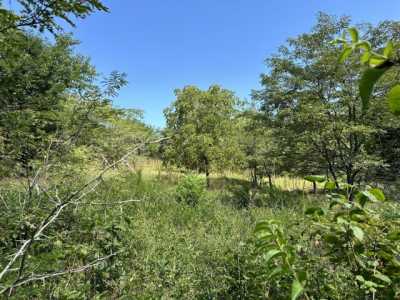 Residential Land For Sale in Ozark, Missouri
