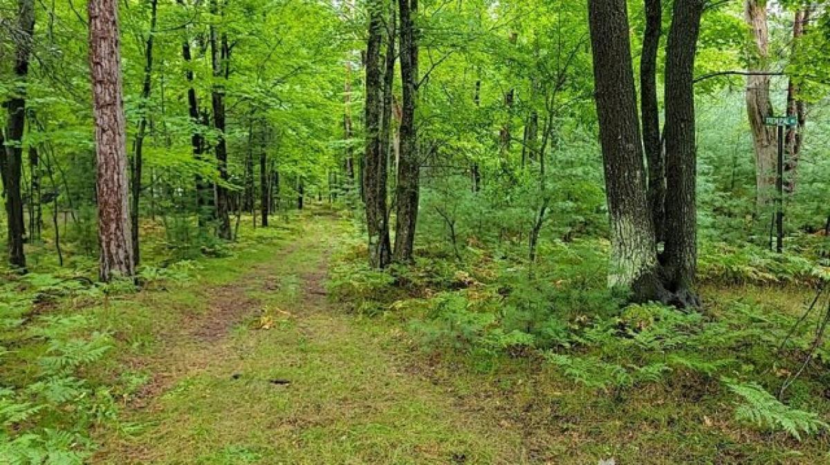 Picture of Residential Land For Rent in Grayling, Michigan, United States