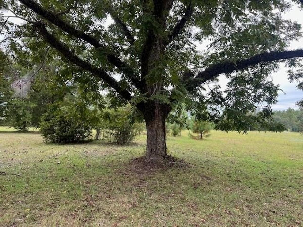 Picture of Home For Sale in Andalusia, Alabama, United States