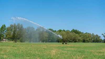 Home For Sale in Sparks, Georgia