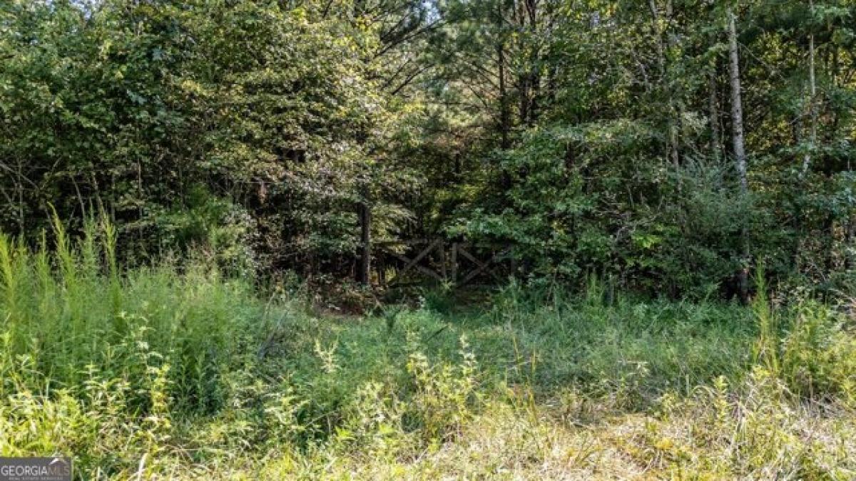 Picture of Residential Land For Sale in Lafayette, Georgia, United States