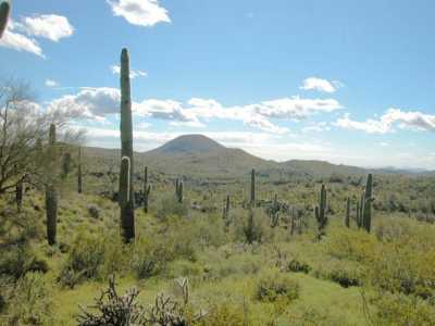 Residential Land For Sale in