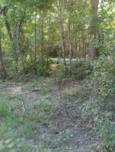 Residential Land For Sale in Beechgrove, Tennessee