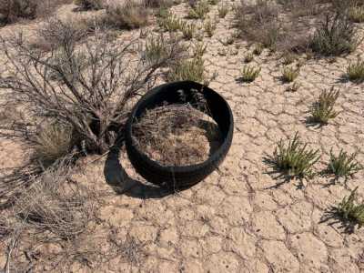 Residential Land For Rent in Beryl, Utah