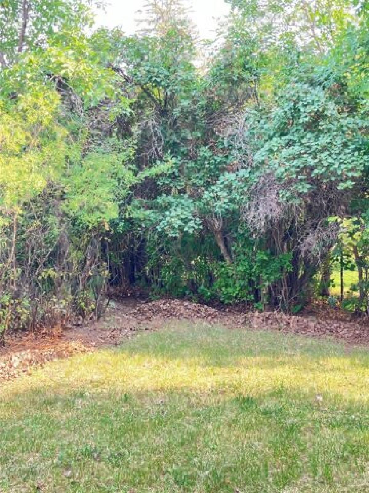 Picture of Home For Sale in Choteau, Montana, United States