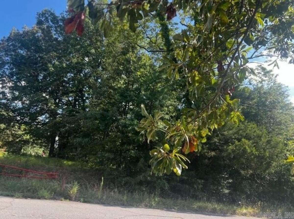 Picture of Residential Land For Rent in Pine Bluff, Arkansas, United States