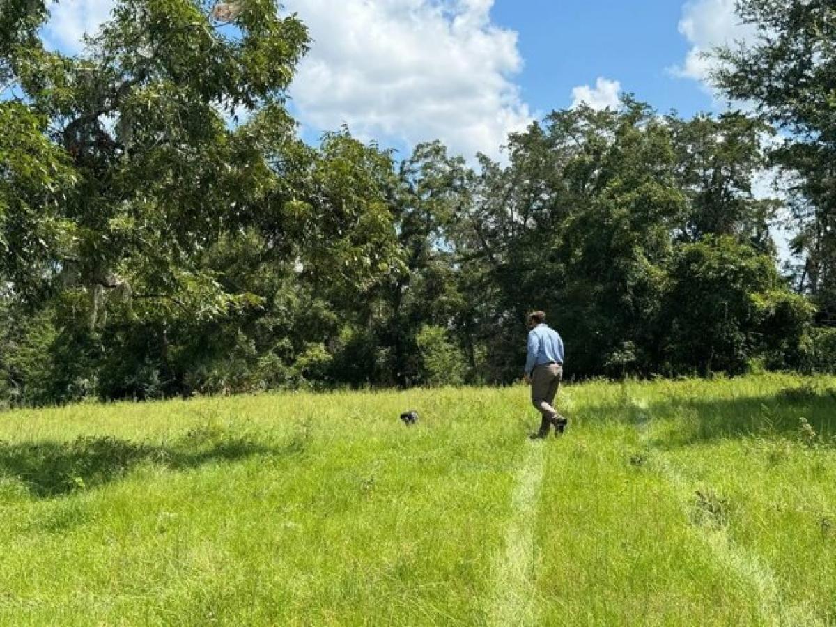 Picture of Residential Land For Rent in Trenton, Florida, United States