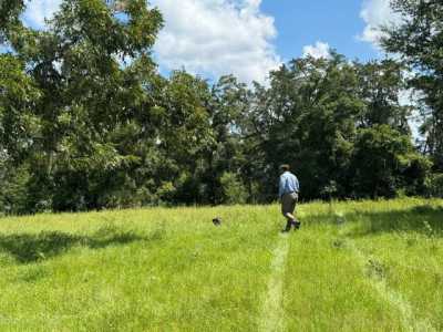 Residential Land For Rent in Trenton, Florida