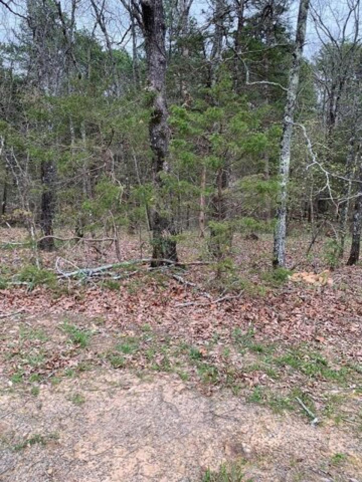 Picture of Residential Land For Rent in Fairfield Bay, Arkansas, United States