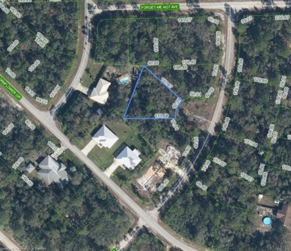 Picture of Residential Land For Sale in Lake Placid, Florida, United States