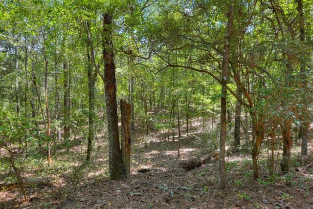 Picture of Residential Land For Rent in Trenton, South Carolina, United States