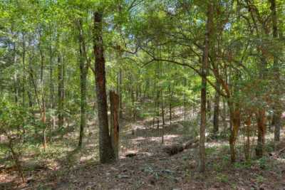 Residential Land For Rent in Trenton, South Carolina