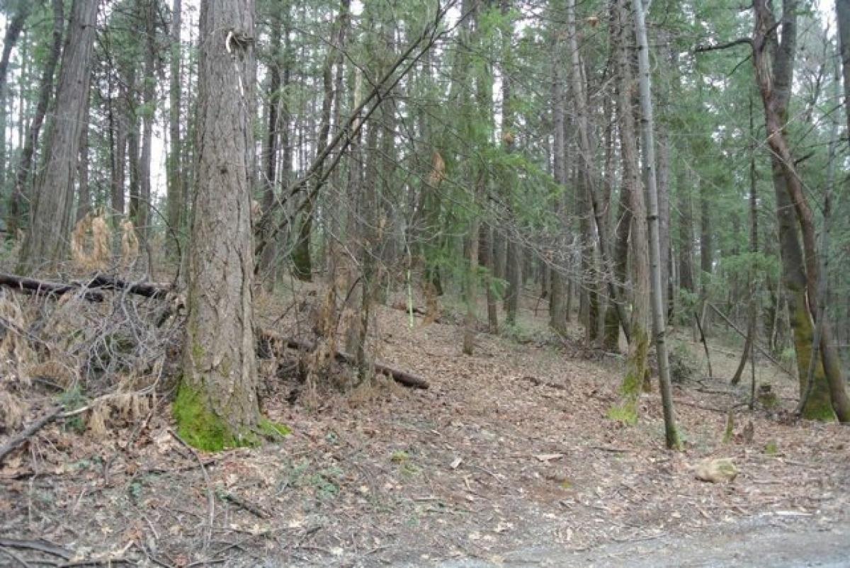 Picture of Residential Land For Sale in Foresthill, California, United States